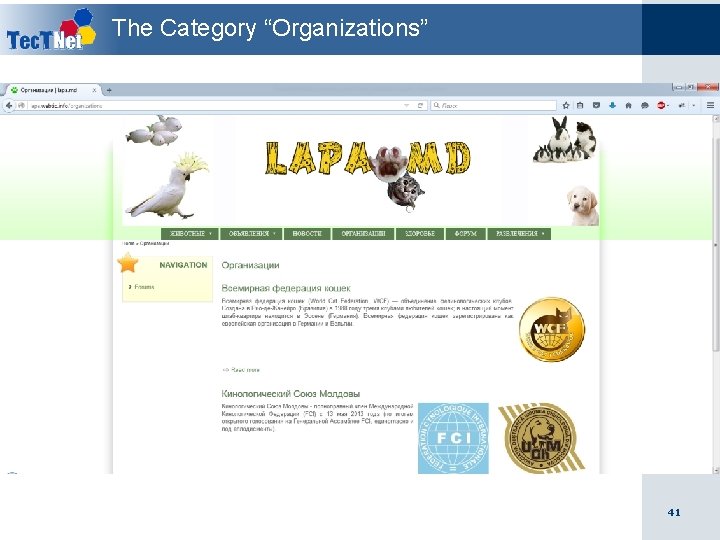 The Category “Organizations” 41 