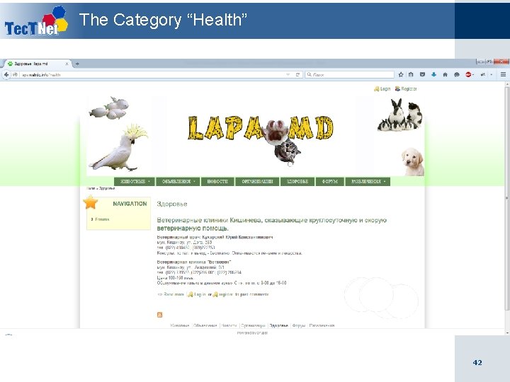 The Category “Health” 42 