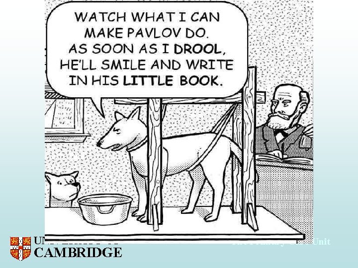 UNIVERSITY OF CAMBRIDGE The Primary Care Unit 