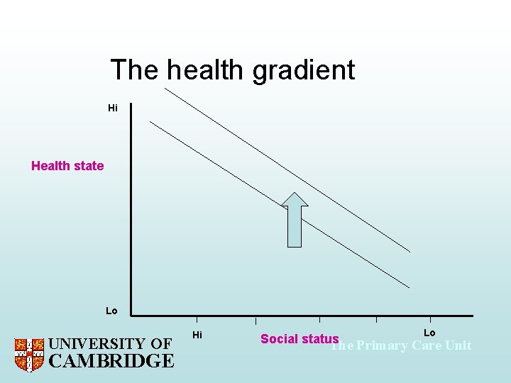 The health gradient Hi Health state Lo UNIVERSITY OF CAMBRIDGE Hi Lo Social status