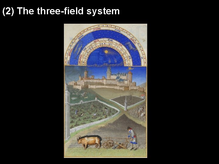 (2) The three-field system 