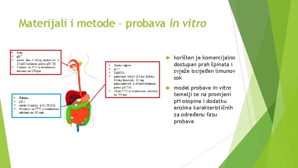 Materijali i metode – probava in vitro korišten je komercijalno dostupan prah špinata i