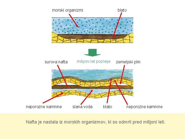 morski organizmi surova nafta neporozne kamnine blato milijoni let pozneje slana voda blato zemeljski