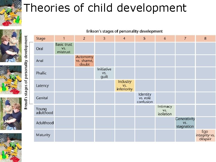 Theories of child development More on Erikson taught at Harvard and engaged in a