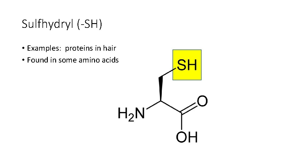Sulfhydryl (-SH) • Examples: proteins in hair • Found in some amino acids 