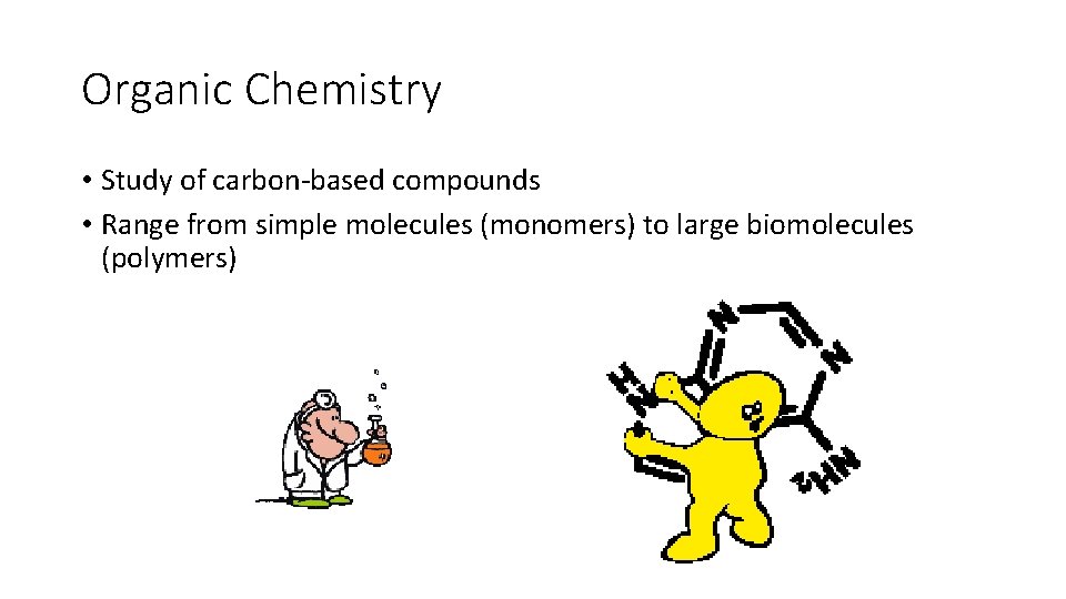 Organic Chemistry • Study of carbon-based compounds • Range from simple molecules (monomers) to