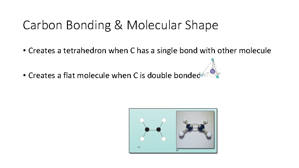 Carbon Bonding & Molecular Shape • Creates a tetrahedron when C has a single