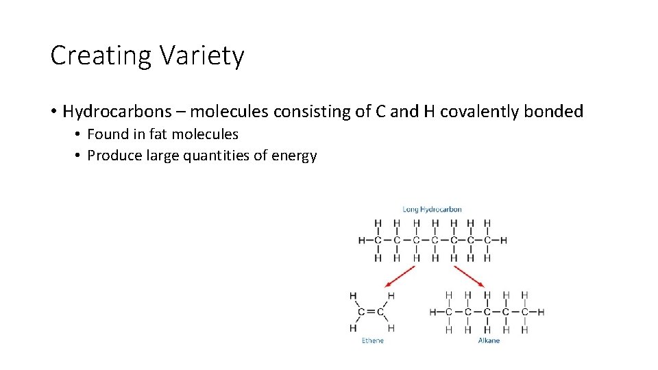 Creating Variety • Hydrocarbons – molecules consisting of C and H covalently bonded •
