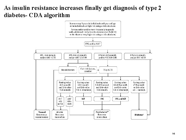 As insulin resistance increases finally get diagnosis of type 2 diabetes- CDA algorithm 14 As insulin resistance increases finally get diagnosis of type 2 diabetes- CDA algorithm 14