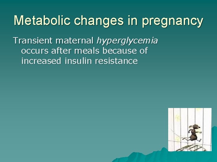 Metabolic changes in pregnancy Transient maternal hyperglycemia occurs after meals because of increased insulin