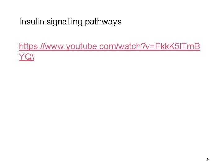 Insulin signalling pathways https: //www. youtube. com/watch? v=Fkk. K 5 l. Tm. B YQ Insulin signalling pathways https: //www. youtube. com/watch? v=Fkk. K 5 l. Tm. B YQ