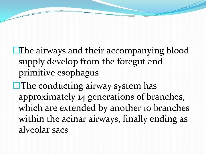 �The airways and their accompanying blood supply develop from the foregut and primitive esophagus