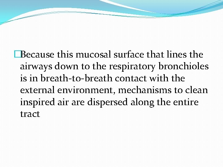 �Because this mucosal surface that lines the airways down to the respiratory bronchioles is