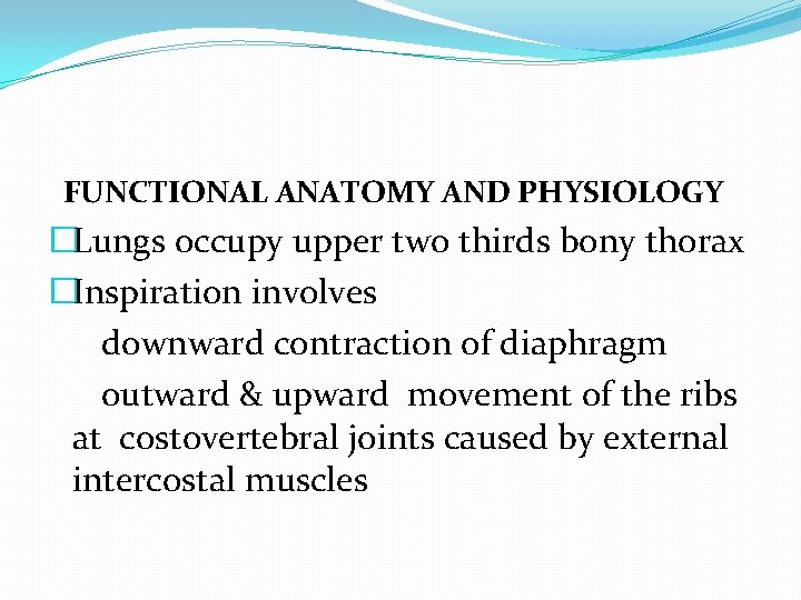 FUNCTIONAL ANATOMY AND PHYSIOLOGY �Lungs occupy upper two thirds bony thorax �Inspiration involves downward