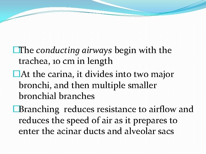 �The conducting airways begin with the trachea, 10 cm in length �At the carina,