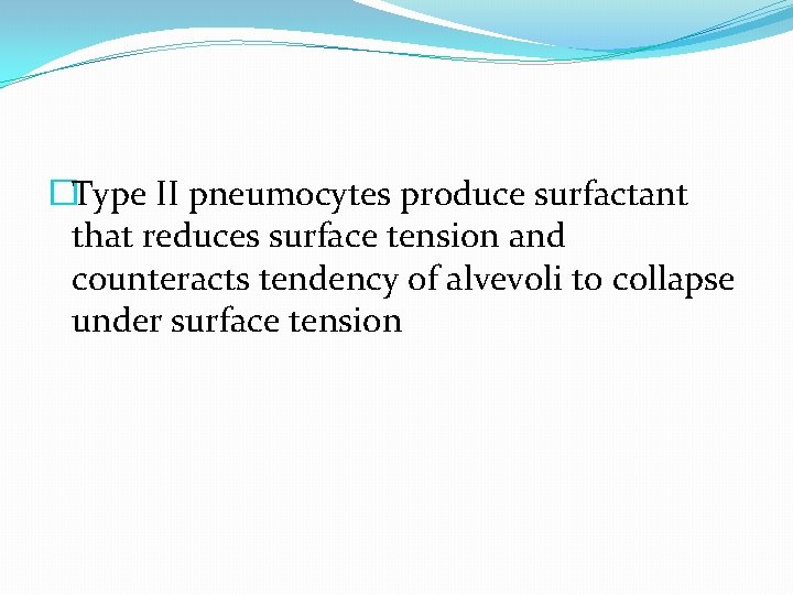 �Type II pneumocytes produce surfactant that reduces surface tension and counteracts tendency of alvevoli