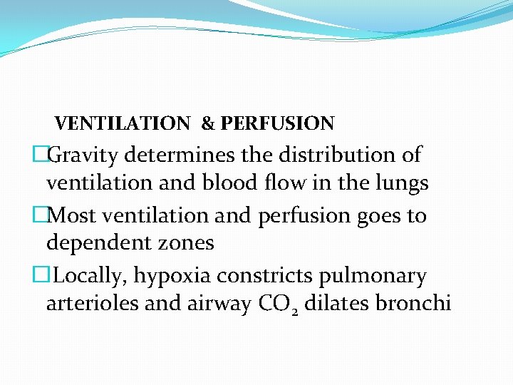 VENTILATION & PERFUSION �Gravity determines the distribution of ventilation and blood flow in the