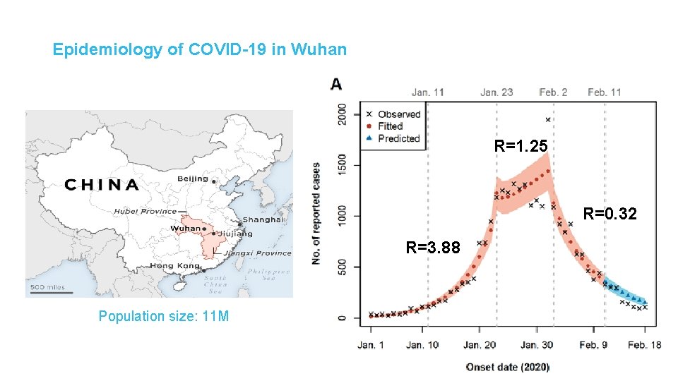 Epidemiology of COVID-19 in Wuhan R=1. 25 R=0. 32 R=3. 88 Population size: 11 Epidemiology of COVID-19 in Wuhan R=1. 25 R=0. 32 R=3. 88 Population size: 11