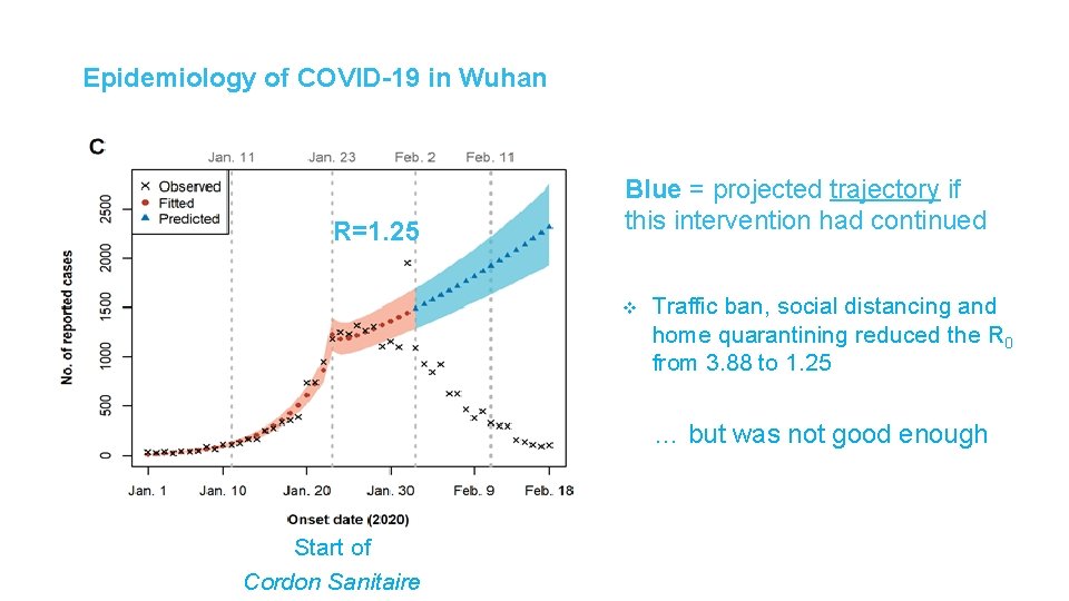 Epidemiology of COVID-19 in Wuhan R=1. 25 Blue = projected trajectory if this intervention Epidemiology of COVID-19 in Wuhan R=1. 25 Blue = projected trajectory if this intervention