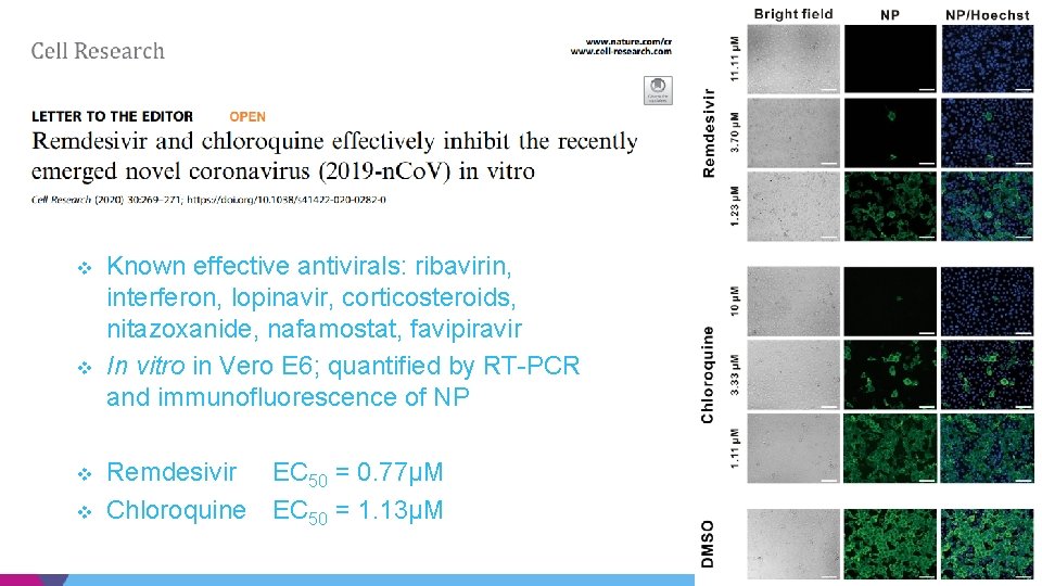 COVID-19 Investigational Therapies v v Known effective antivirals: ribavirin, interferon, lopinavir, corticosteroids, nitazoxanide, nafamostat, COVID-19 Investigational Therapies v v Known effective antivirals: ribavirin, interferon, lopinavir, corticosteroids, nitazoxanide, nafamostat,