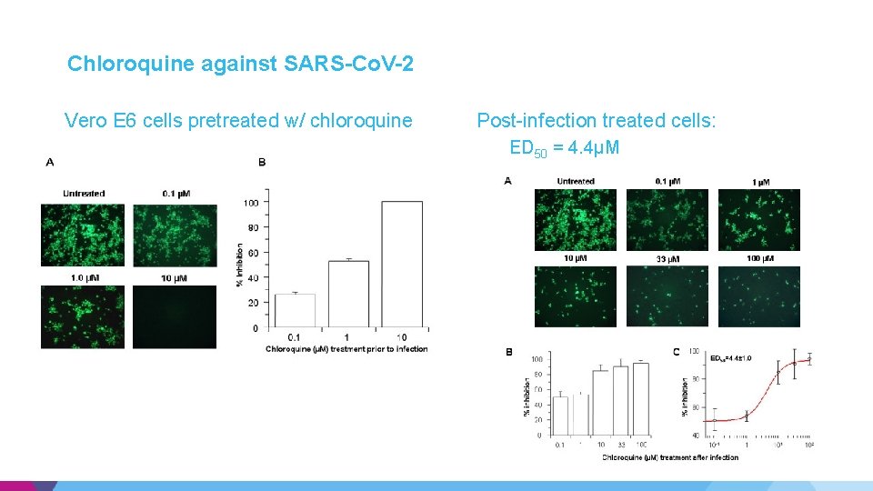 Chloroquine against SARS-Co. V-2 Vero E 6 cells pretreated w/ chloroquine Post-infection treated cells: Chloroquine against SARS-Co. V-2 Vero E 6 cells pretreated w/ chloroquine Post-infection treated cells: