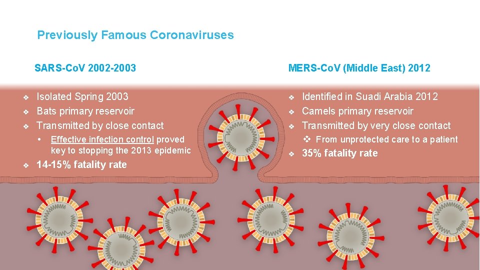 Previously Famous Coronaviruses SARS-Co. V 2002 -2003 v v v Isolated Spring 2003 Bats Previously Famous Coronaviruses SARS-Co. V 2002 -2003 v v v Isolated Spring 2003 Bats