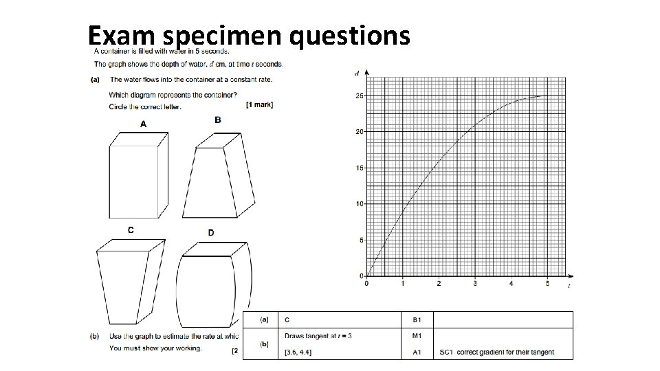 Exam specimen questions 