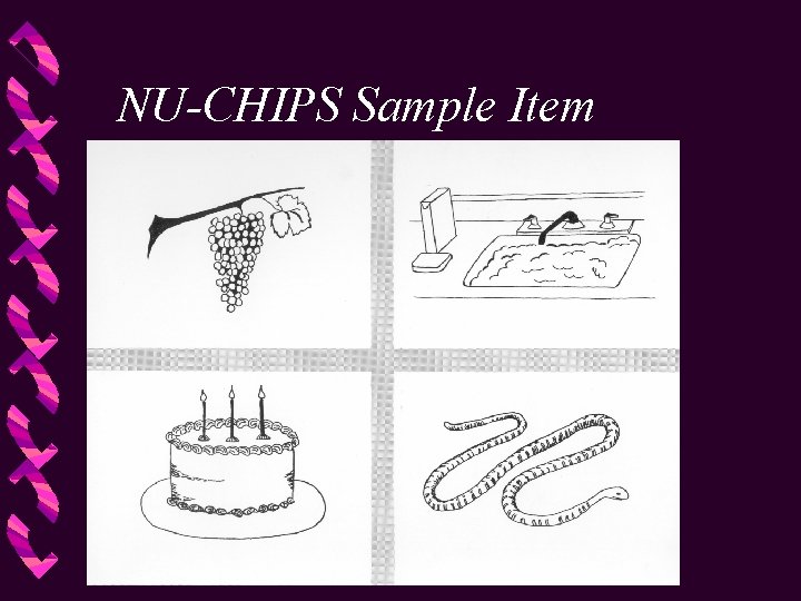 NU-CHIPS Sample Item 