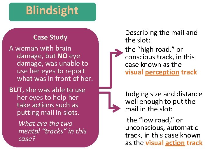 Blindsight Case Study A woman with brain damage, but NO eye damage, was unable