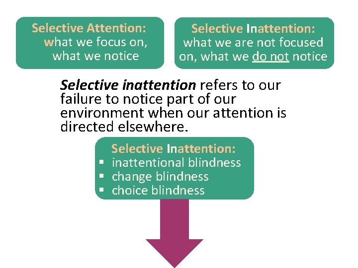 Selective Attention: what we focus on, what we notice Selective Inattention: what we are
