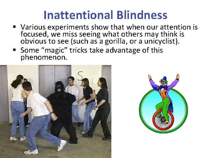 Inattentional Blindness § Various experiments show that when our attention is focused, we miss