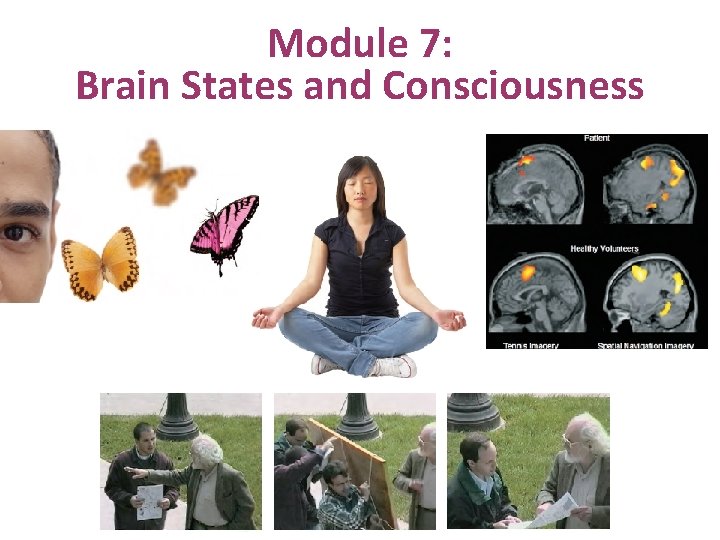 Module 7: Brain States and Consciousness 