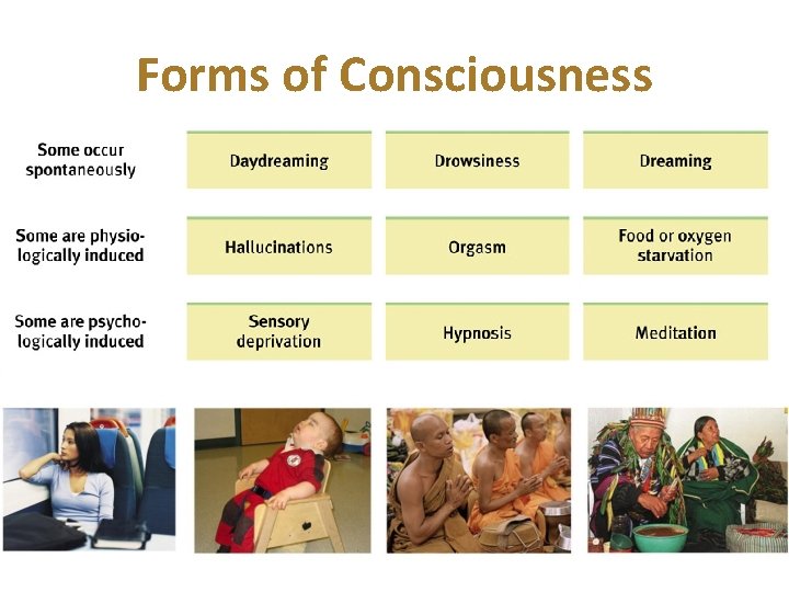 Forms of Consciousness 