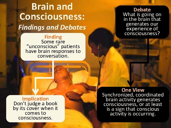 Brain and Consciousness: Findings and Debates Finding Some rare “unconscious” patients have brain responses