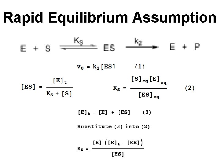 Rapid Equilibrium Assumption 