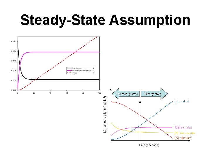 Steady-State Assumption 