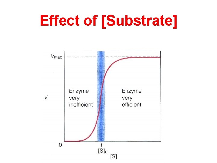 Effect of [Substrate] 