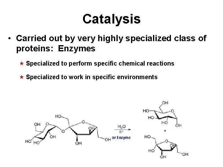 Catalysis • Carried out by very highly specialized class of proteins: Enzymes Specialized to