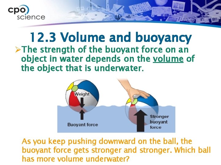 12. 3 Volume and buoyancy ØThe strength of the buoyant force on an object