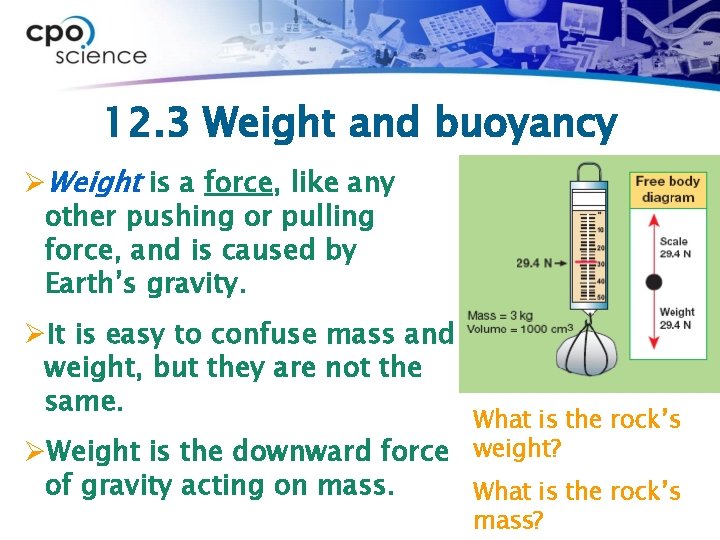 12. 3 Weight and buoyancy ØWeight is a force, like any other pushing or