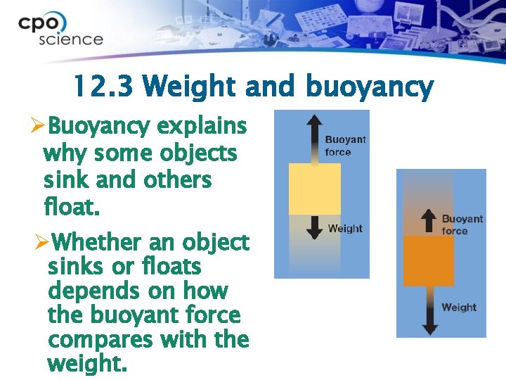 12. 3 Weight and buoyancy ØBuoyancy explains why some objects sink and others float.