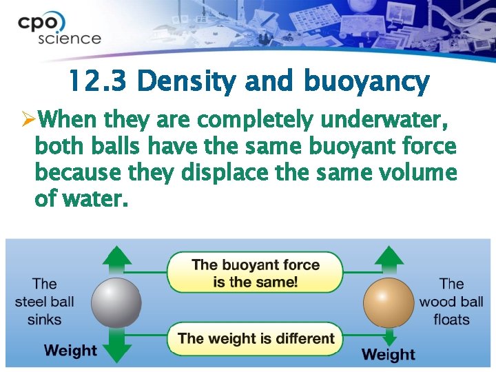 12. 3 Density and buoyancy ØWhen they are completely underwater, both balls have the