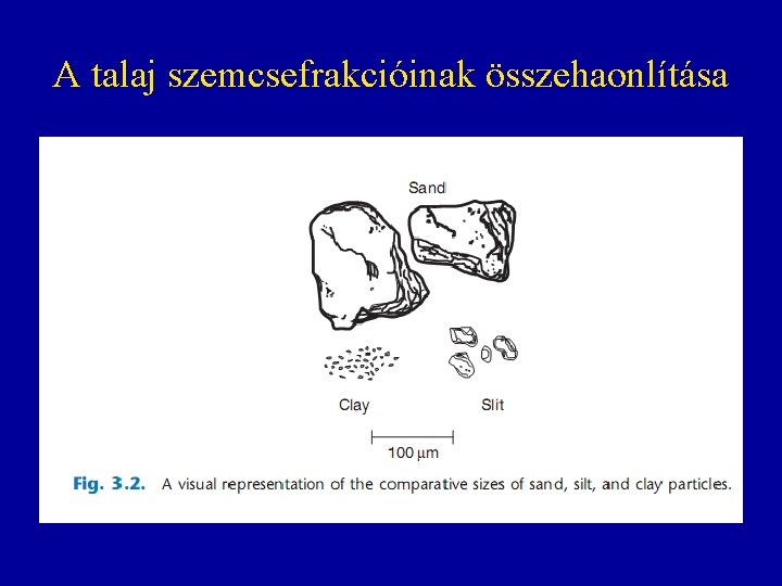 A talaj szemcsefrakcióinak összehaonlítása A talaj szemcsefrakcióinak összehaonlítása