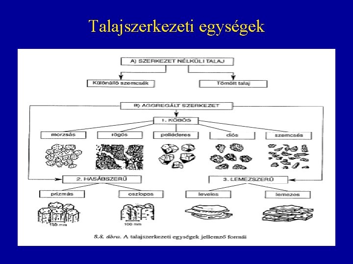 Talajszerkezeti egységek 