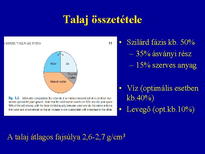 Talaj összetétele • Szilárd fázis kb. 50% – 35% ásványi rész – 15% szerves