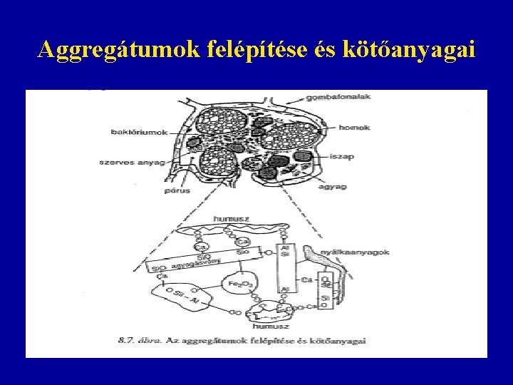 Aggregátumok felépítése és kötőanyagai Aggregátumok felépítése és kötőanyagai