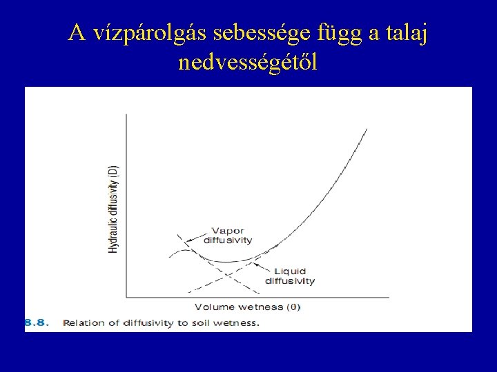 A vízpárolgás sebessége függ a talaj nedvességétől A vízpárolgás sebessége függ a talaj nedvességétől