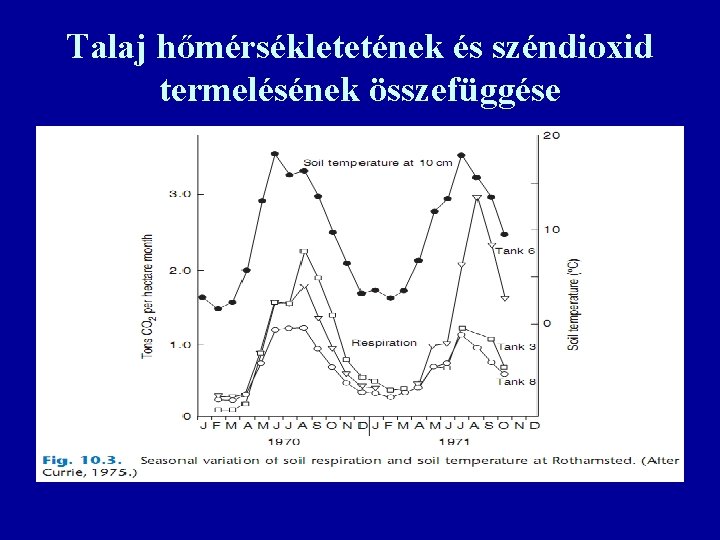 Talaj hőmérsékletetének és széndioxid termelésének összefüggése 