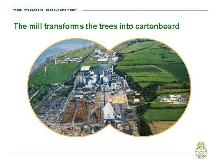 TREES INTO CARTONS • CARTONS INTO TREES The mill transforms the trees into cartonboard