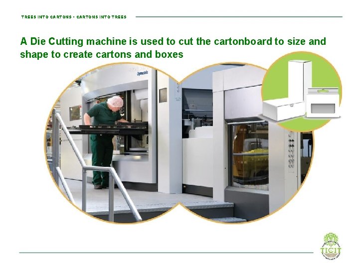 TREES INTO CARTONS • CARTONS INTO TREES A Die Cutting machine is used to